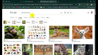 HTML Head Element (Part 14)