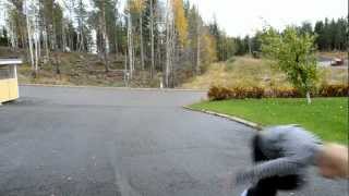 Leevi Sampler 2012