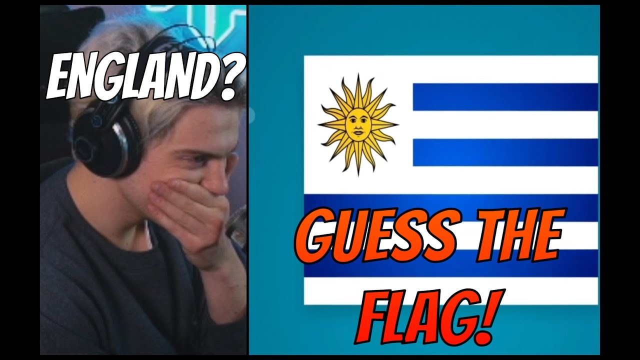 Niek REAGIERT auf GUESS THE FLAG!
