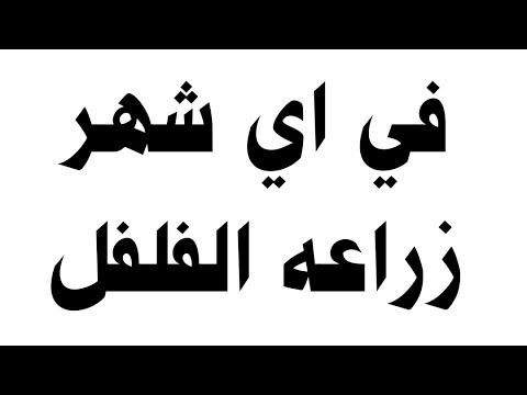 فيديو: متى يمكنني زراعة فلفل شيشيتو؟