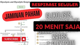 20 MENIT PAHAM RESPIRASI SELULER [GLIKOLISIS SAMPAI TRANSPOR ELEKTRON]