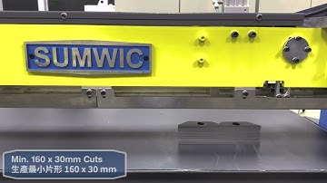SUMWIC Step Lap Lamination Cutting Line - SCRV-150