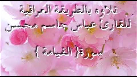 سورة القيامة للقارئ عباس جاسم