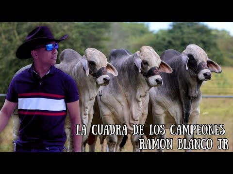 Ramon Blanco Jr - La Cuadra De Los Campeones (Video Audio Oficial)