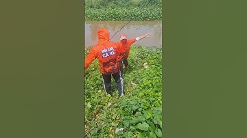 Đi câu lang cá tra với mồi câu cá kể#moicaucake