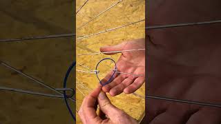 Can a Zip Tie Fix a Broken Bike Wheel?