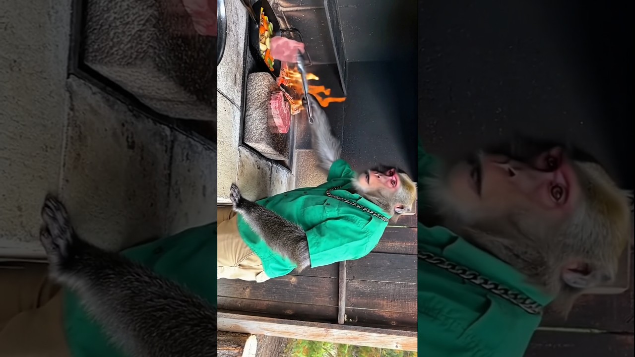 "Bantoo Bhai in His Cooking Era👨🍳☁️"#aimonkeyvlog #asmr #cookinginthewild #naturecooking