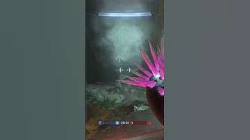 Halo Needler going wild!