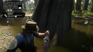 Red Dead Redemption 2 Перья колпицы и цапли
