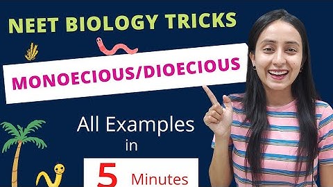 Easiest Trick to Learn Monoecious/ Hermaphrodites | All NCERT Examples | NEET BIOLOGY