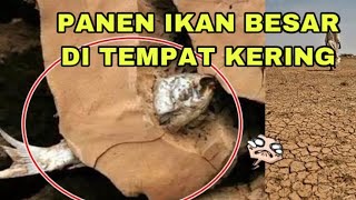 Download lagu Mancing Di Sungai Kering Dapat Banyak Ikan (kuasa Allah)