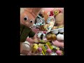 ジャケうさクレーンゲーム配信だよー【18】