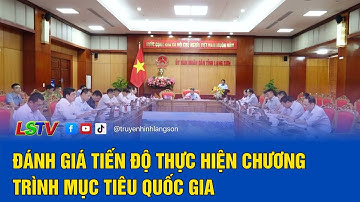 Đánh giá tiến độ thực hiện chương trình mục tiêu quốc gia | LSTV
