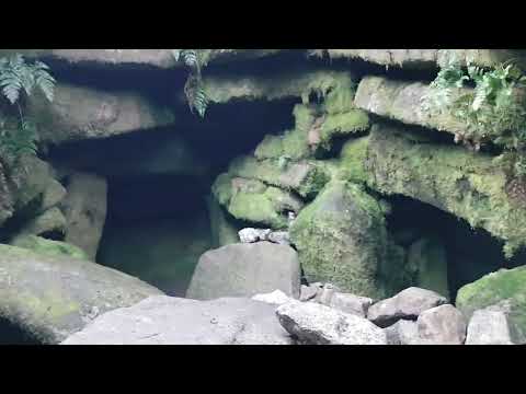 Exploring The Ancient, 5,000+ Year Old, Seefin Tomb in County Wicklow Ireland.