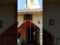 महाकाल डीजे सॉन्ग माई न्यू लाइट डेकोरेशन एंड जय माल सिस्टम मोबाइल नंबर 8736894135