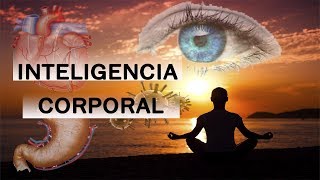 LA INTELIGENCIA DEL CUERPO HUMANO