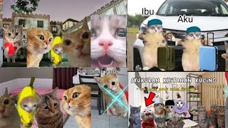 pov kompilasi seru meme kucing 10 menit part 2 | meme kucing lucu #pov #memecats #cat #memecatsviral