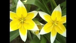 Kenny, Remy   Martin   Suratan Atau Kebetulan   YouTube