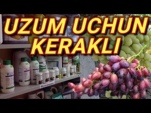 Video: Qish Uchun Uzum Blankalari