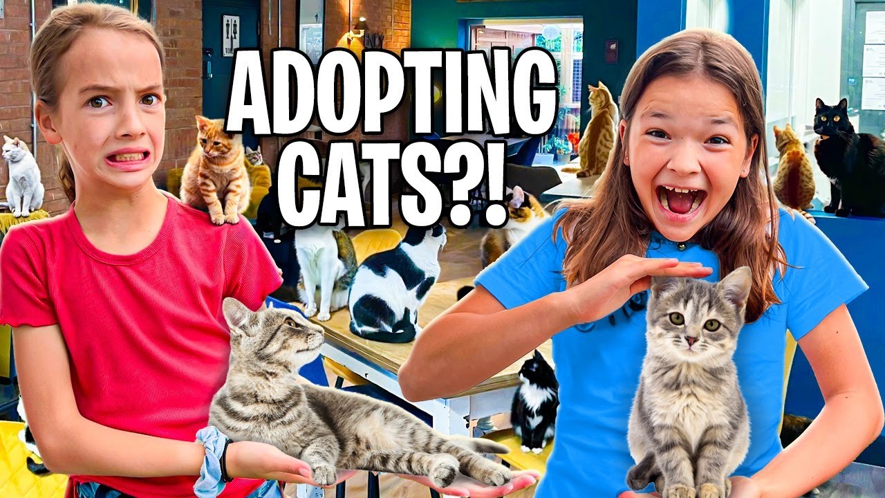 My daughter ADOPTED a CAT