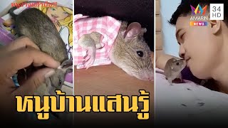 'น้องตัวเล็ก' หนูบ้านแสนรู้ สุดเชื่องรู้ภาษาคน อ้อนพ่อก่อนเข้านอนทุกวัน