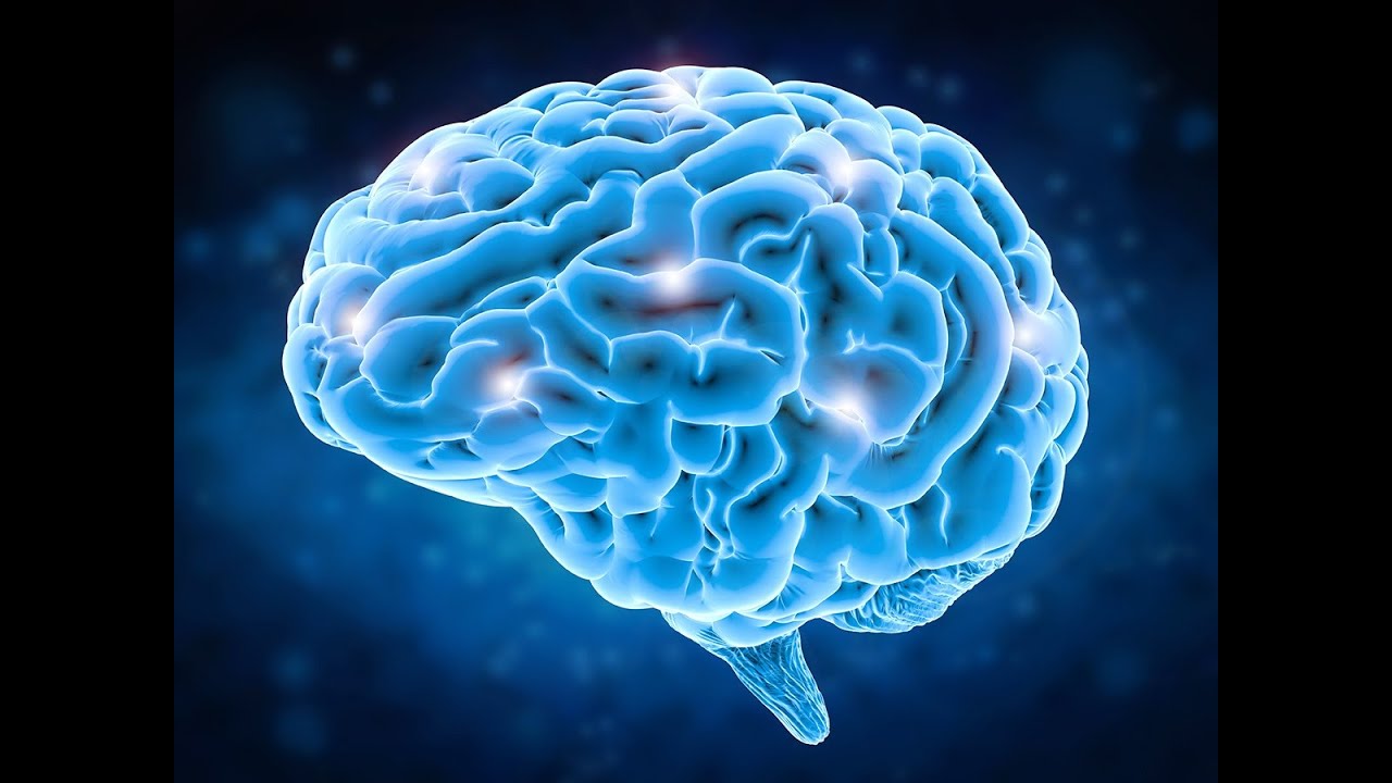 Free Seminar (You Missed!), New Product, And More!