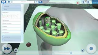 EvoBooks 3D Aulas Digitais - Biologia Celular (Versão Standard) screenshot 3