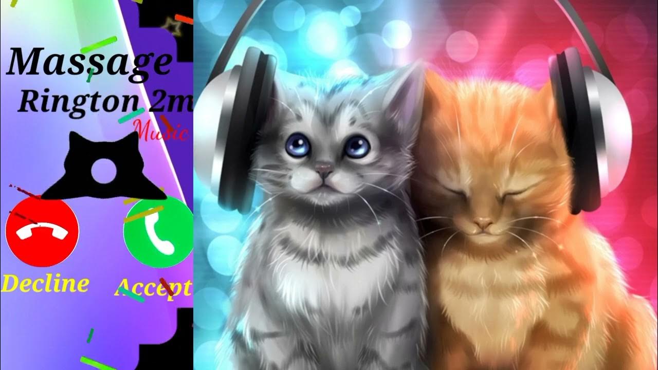 Best of Cat song ringtone.sweet ringtone,best of cat song ringtone