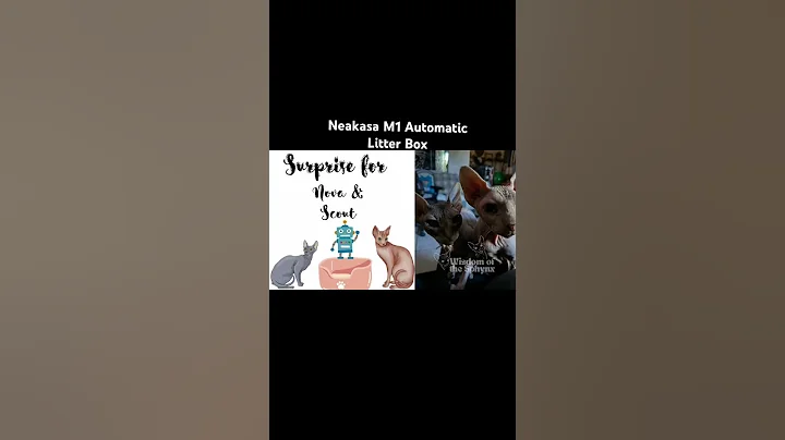 Watch the video about Surprise Gift - Neakasa M1 Automatic Litter Box