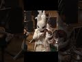 ツィゴイネルワイゼン【ズーラシアンフィルハーモニー管弦楽団】
