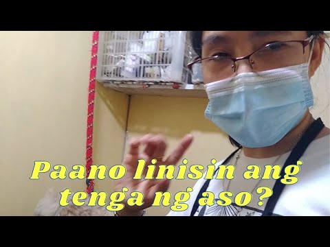 Video: Paano Linisin Ang Tainga Ng Iyong Tuta