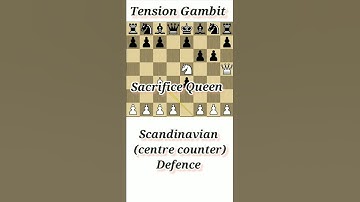 Tension Gambit: Scandinavian defence // Win In 7 Moves #shorts #viral #chess