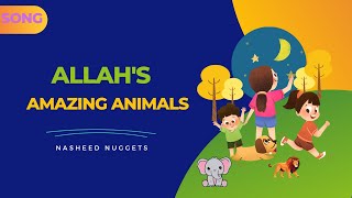 Allah's Amazing Animals Nasheed | Kids Islamic Songs | Exploring the Wonders of the Natural World