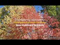 День пожилого человека