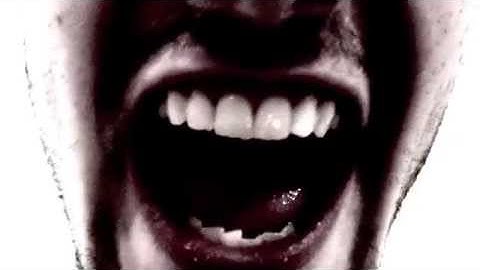 Fjokra - The Old Time Nook (Official Video)