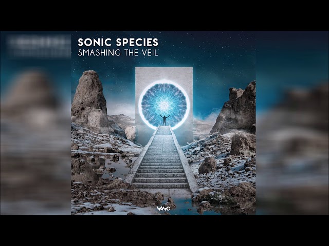 Sonic Species - Smashing the Veil