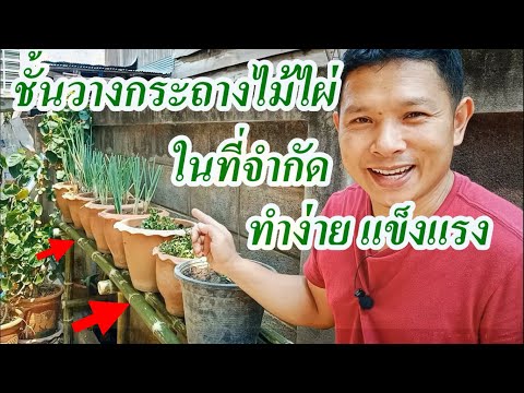 ทำชั้นวางกระถางปลูกผักจากไม้ไผ่ อย่างง่ายประหยัดเงิน Make a pot rack to grow vegetables from bamboo.