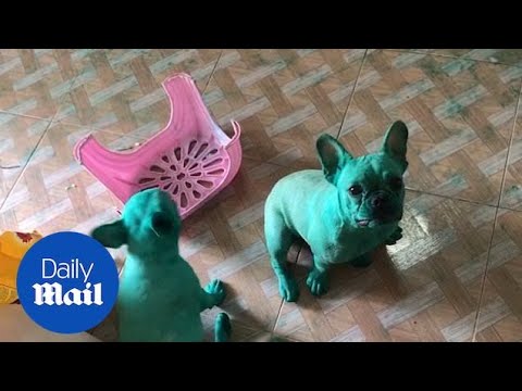 YouTube video