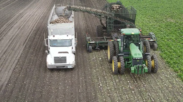 2021 Beet Harvest