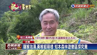 享受森林浴.遠離喧囂台東知本秘境瀑布－民視新聞