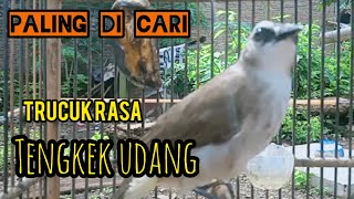 TRUCUKAN GACOR asli UKLIK UKLIK NEMBAK isian TENGKEK UDANG ini Pancingan TRUCUK paling DI CARI