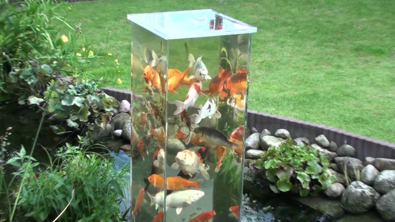 The Coolest Upside Down Koi Pond That Will Spice Up Your Backyard In A Big  Way!