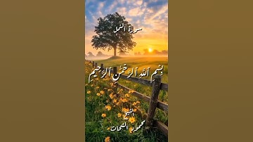 سورة النمل ـ الأية (30ـ31) ـ بصوت القارئ الشيخ #محمود_الشحات