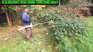 Another Backyard VANDALIZED With Blackberries! Stihl FS-460 Clearing Saw! #satisfying by Golovin Property Services 1,010 views 5 months ago 13 minutes, 51 seconds