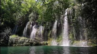 Little Things That Matter | 1 Minute Nature Video
