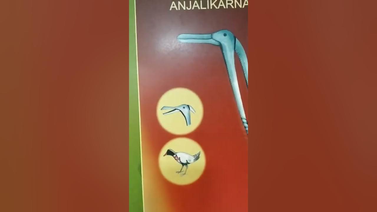 Surgical Instruments Used by Sushruta YouTube