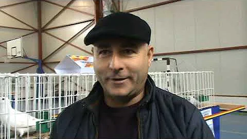 Interviu columbofil dl Negoita Viorel Maracineni B...