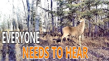 The Truth About Mock Scrapes [Everyone Needs to Hear]