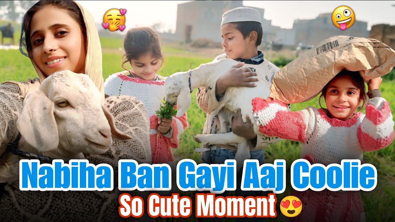 Nabiha Aaj Bani Coolie 😄🎒 | Sar Par Utha Laayi Cat Food 🐱 | @amrinimrankvlog