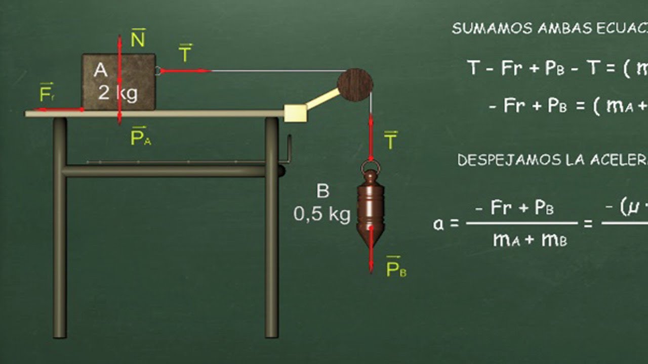 Newton fisica